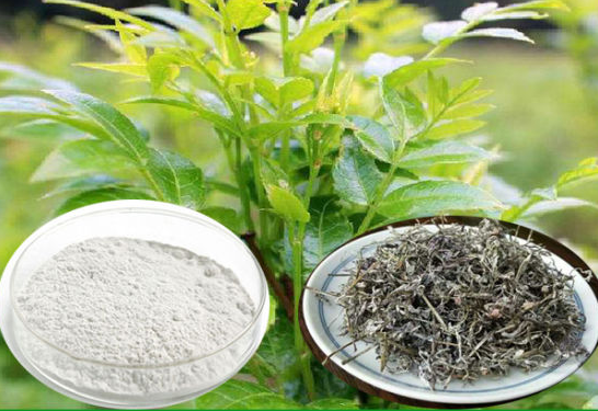 Is Dihydromyricetin Safe.png